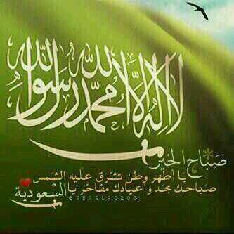 55619Zahra's tweet photo. http://t.co/dT1eyG8bvl