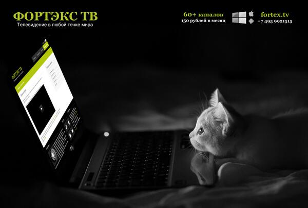 FortexTelecom tweet picture