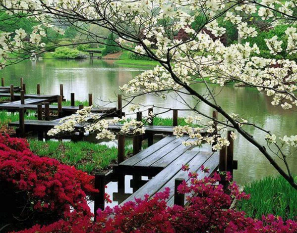 AmazingEarthPic's tweet photo. Ashikaga Flower Park, Japan. #Amazing http://t.co/VDLWzewpy4