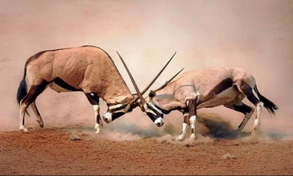 AmazingEarthPic's tweet photo. Amazing shot! #Wow http://t.co/ClNZNTVHfi