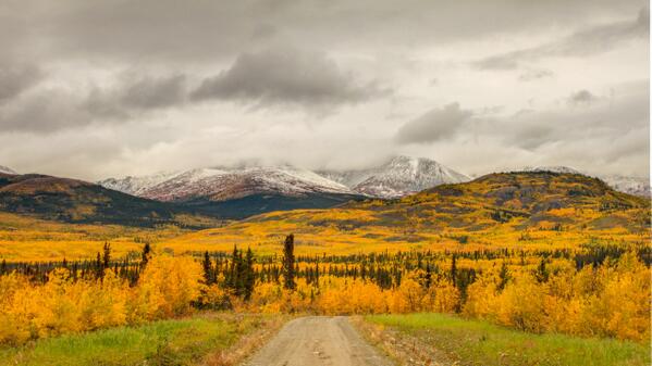 Fall colours in the Yukon