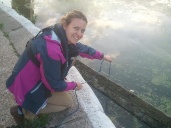 MaaikeMilligan's tweet image. Eel monitoring on friday at #Bowlocks with @EliseBabb. 6 lovely looking eels! A great season! @ZSLMarine @Thames21.