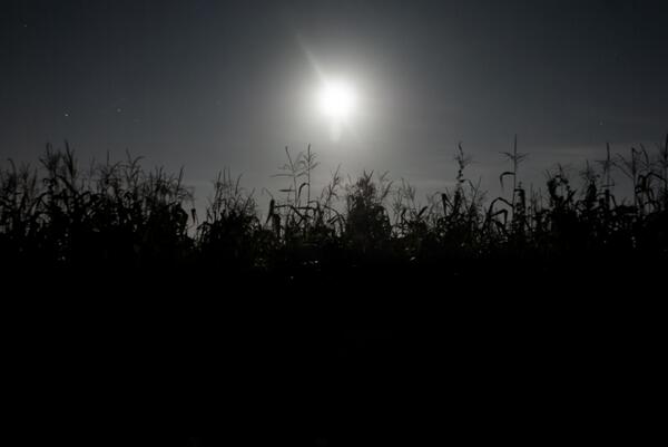 I mostly stumbled around in the dark shooting photos I've dreamed of taking while working through the day.