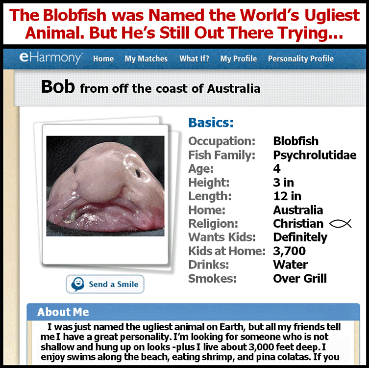 Blobfish Named World's Ugliest Animal