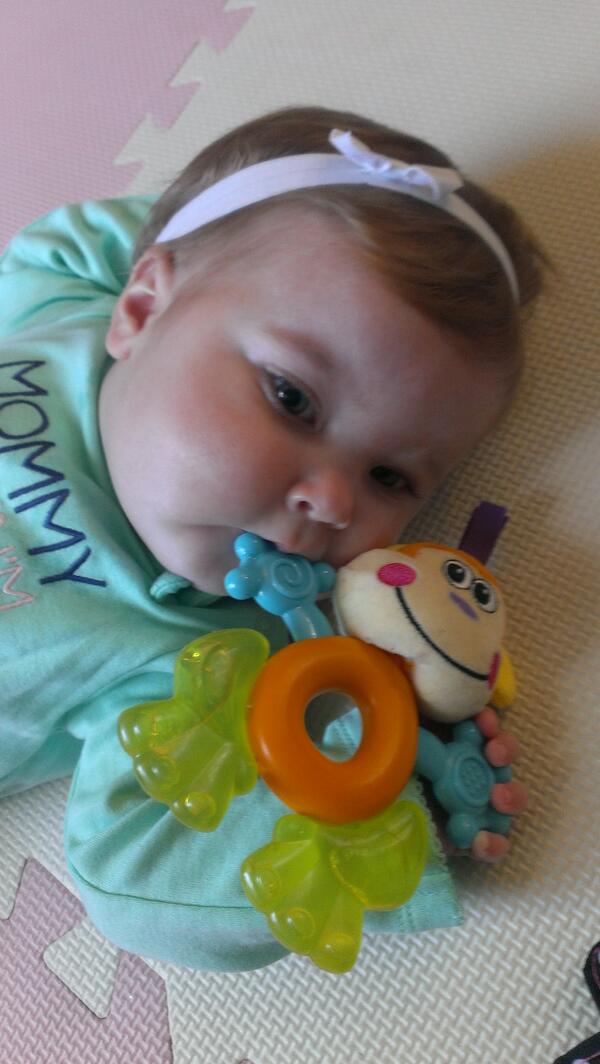 Amanda_Lee_G's tweet photo. My beautiful baby <3 http://t.co/kyAsIfj7tR