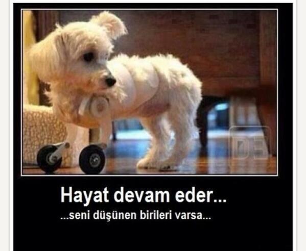1evin4kizi's tweet photo. Hayat devam eder...seni dusunen birileri varsa ... http://t.co/kdUjPVeQVz