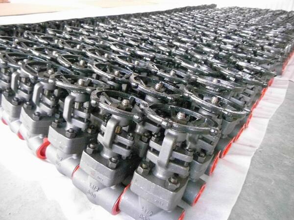 Valves gate, API 602, BB, SW, OS&amp;Y - Transcend Flow Control