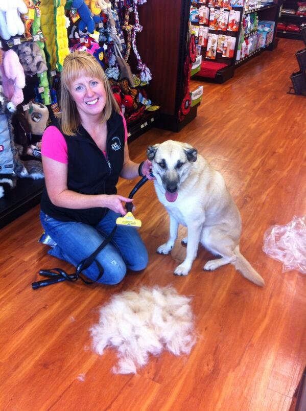 Is your dog shedding like crazy? We carry the Furminator! An amazing grooming tool to decrease shedding!