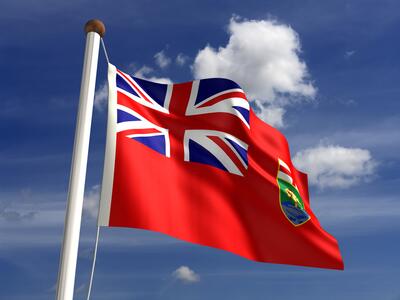 Practical Nursing  tweet media