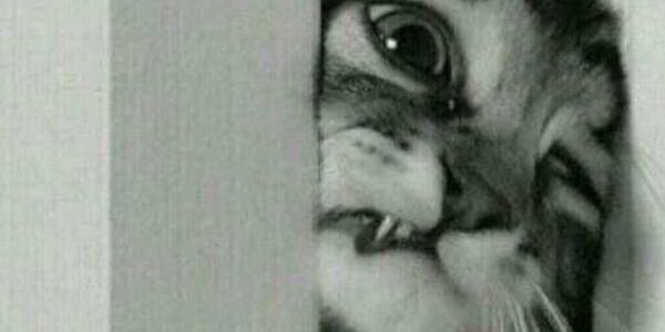 i2SMA's tweet photo. #شكلي_وانا اشبك كيبل ورا التلفزيون 😂😂 http://t.co/0GuiH3Z01t