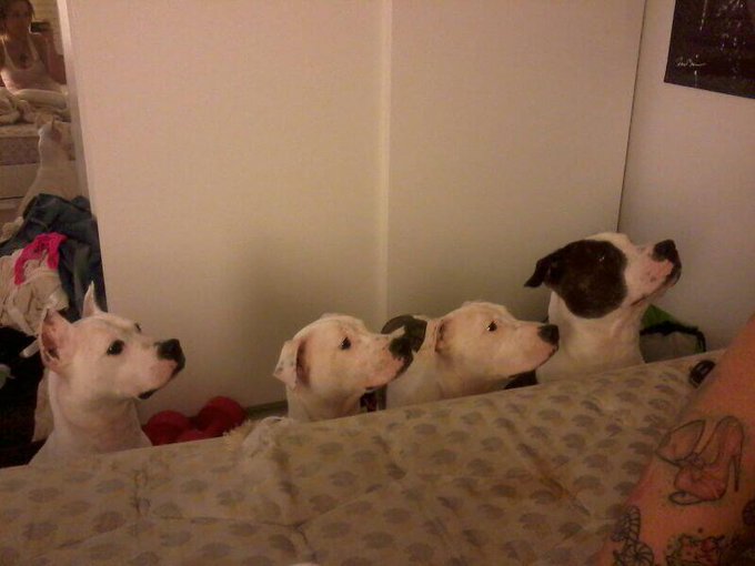 Aki la prueva de xq m siento observadiiiisima http://t.co/wGyhsjoCpO