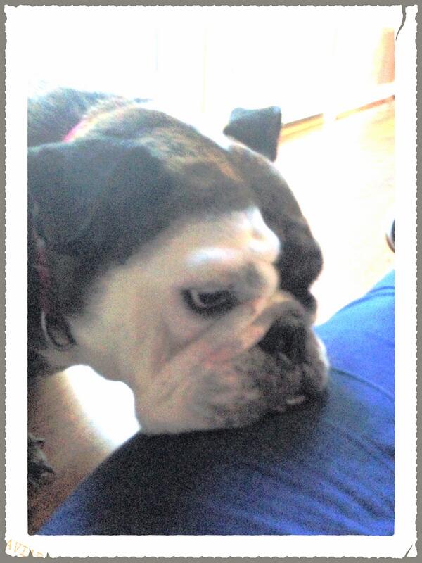 ActiveMeasures's tweet photo. Created using Photo Editor- http://t.co/srMHL95BQU