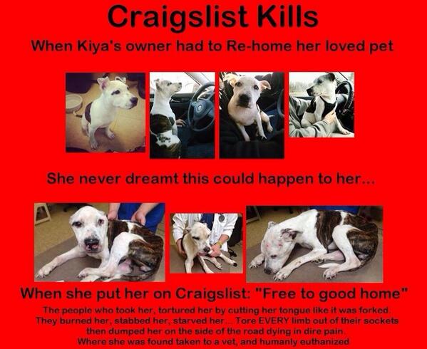 FunkdafiedFlavo's tweet image. Spread the word do not use #craigslist to find homes for your pets! #heartbreaker #screeningprocess #rescuedogs