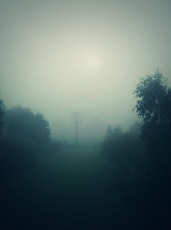 Tuesday morning horror movie.