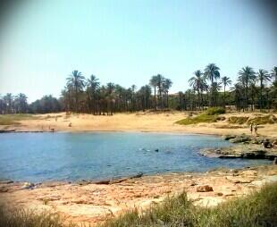 imaaa91's tweet photo. En Cala Ferris @Aitor_Saenz @JoshLockee #aitor #cerio http://t.co/X7JsmGv8lj