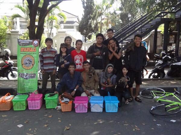 Tetap semangat mensosialisasikan musang dimanapun :)