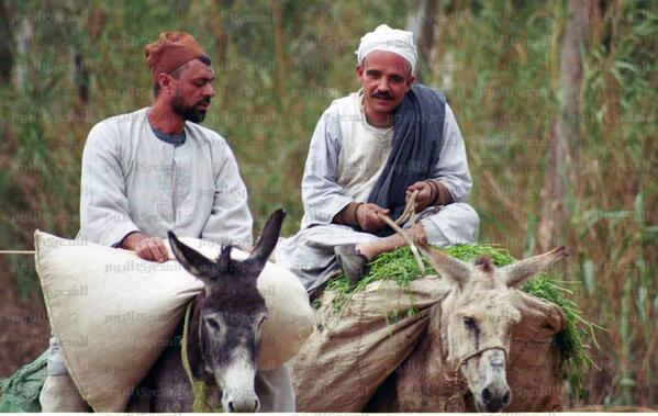 "هو ده دستور الثورة يا بلد " الأصدقاء الأعزاء  بعد التحية   يسعدنا أن نرسل لكم نسخة للمزيد..  lchr-eg.org/abo-folan-and-…