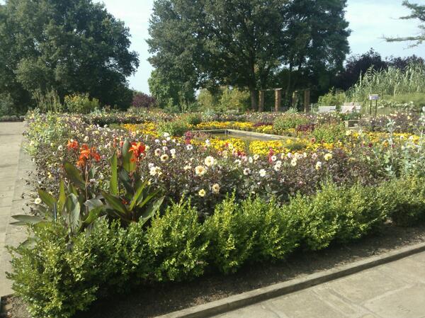 HelenMW82's tweet image. Gorgeous day for lunch in the gardens @HornimanMuseum.  Now back inside to work on #libraryreview