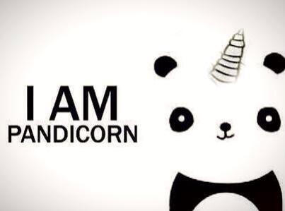 pinkfluffyunic's tweet image. I am a #pandicorn! :D