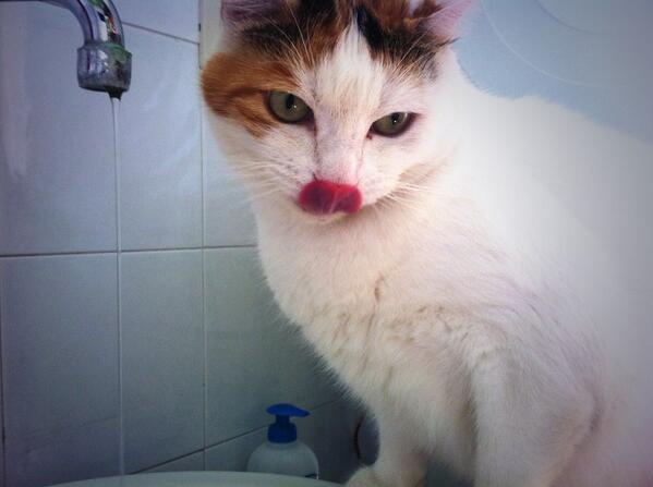 #RedTongue #CallOutACutie #comewithme #LoQueMeGustaDeEstaVida #MentionTop10TwitterCrush #drinking #freshwater #hello