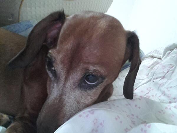 willowHan's tweet photo. @arrarrio http://t.co/YcWbd232yg