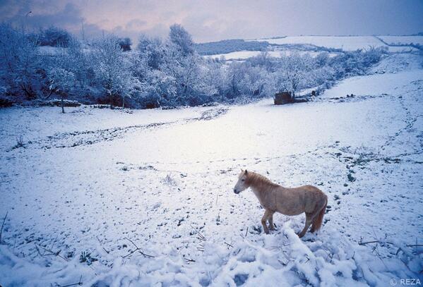 GreatNatureProj's tweet photo. #greatnature #animal http://t.co/FDxyLJWpD3
