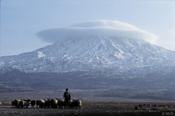 GreatNatureProj's tweet photo. #greatnature #animal http://t.co/4kSlIqYlNy