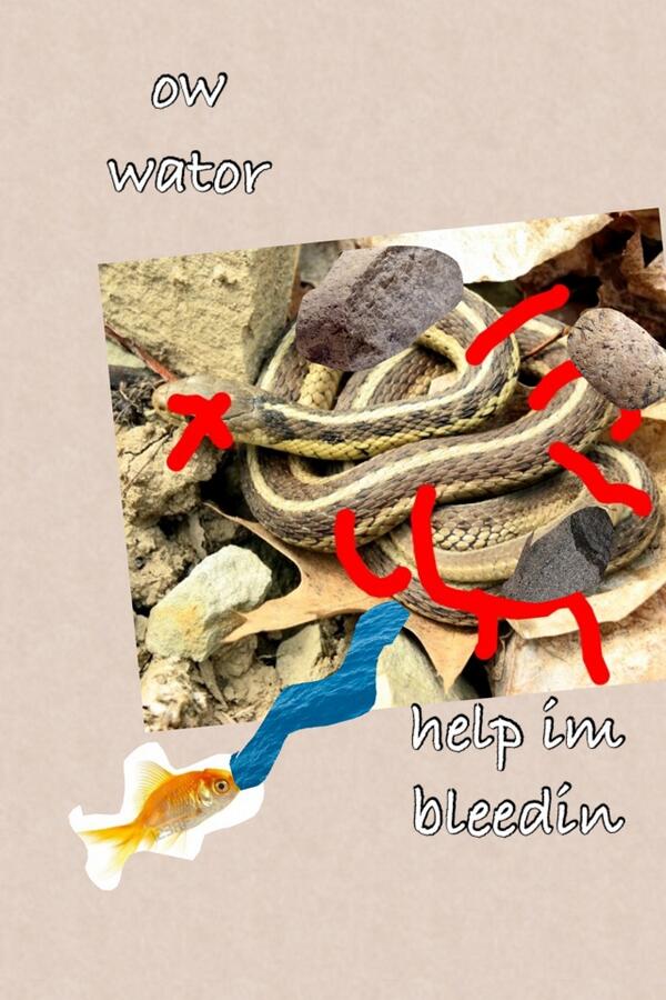 Drunk Charmander •3• tweet media