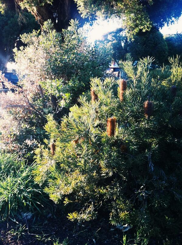 greenruby's tweet image. Work