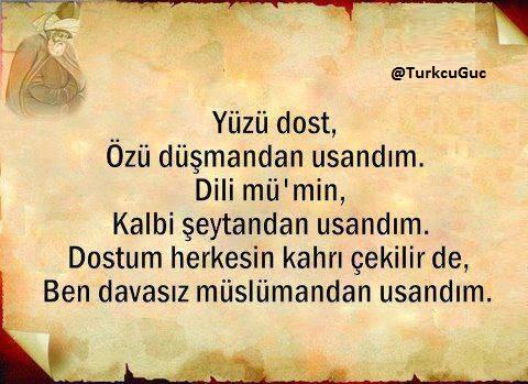 Internetda odamlar mening kokraklarimga tegishi menga yoqadi.