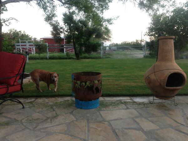 cashletsinger's tweet photo. Just finished mowing. Water sprinklers on!! http://t.co/S12Hkr3L91