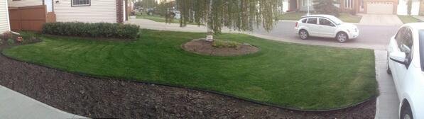 MC_3pOH's tweet image. @phrynyk the jimilawn 2.0 restored back to its former glory #mowmalawnbeerz #spiralpattern #neighborenvy