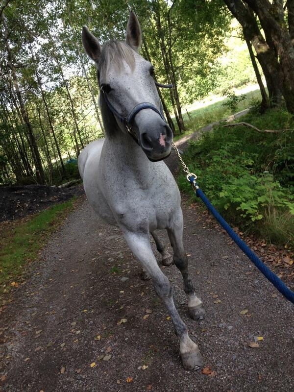 MatildaIversen's tweet photo. $\/\/@G http://t.co/KLvO7SA8Je