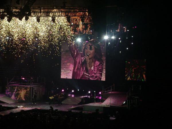 A picture I took at the Best of Both Worlds Tour lol