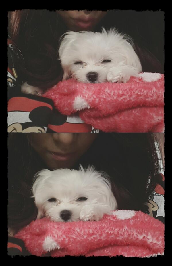[PIC][13-12-2013]Selca mới nhất của Tiffany và Yuri BUBh--MCcAABKPB
