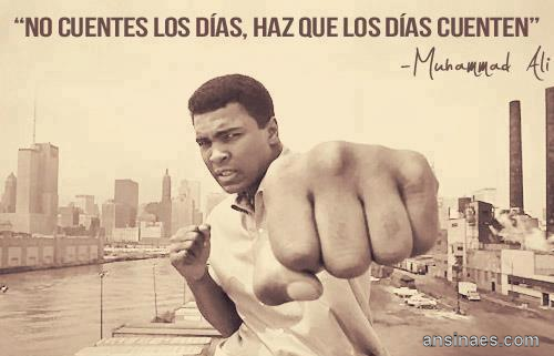 josefajram's tweet photo. “No cuentes los días, haz que los días cuenten” Muhammad Ali. #motivacion http://t.co/n21pYV3Eid
