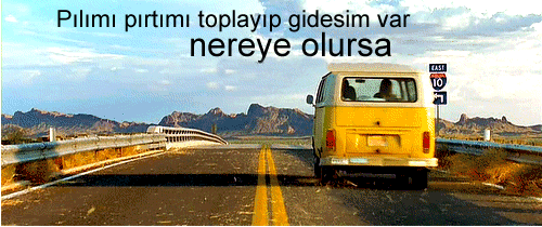 Koç, Balık, Boğa ve Kova...