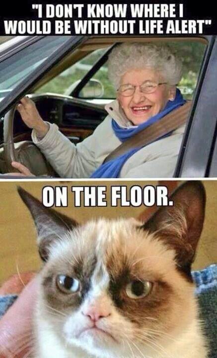 Yvess Gharibi tweet media