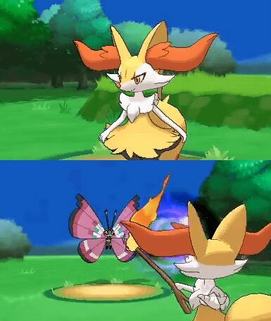 ポケモンメモ Pa Twitter 後ろに隠した枝 を使う フォッコ の進化系 テールナー Http T Co At7ktjzf5q Twitter