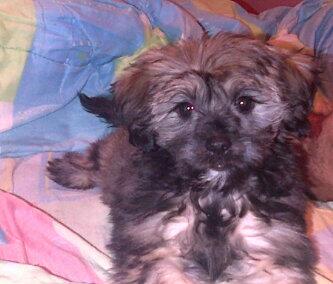 jaquelinGL's tweet photo. @danypili te amoo ♥ http://t.co/DhVOf6CnJt