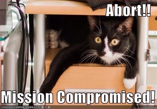 SweetestBtches's tweet image. When you're trying to secretly text in class and your Siri goes off