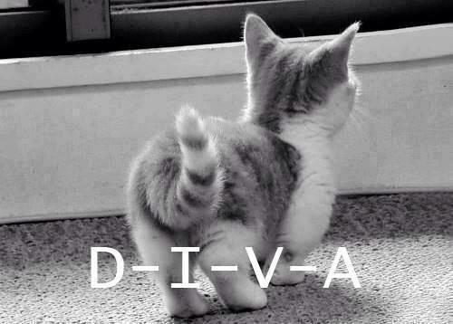 ModaClubMty's tweet photo. Feliz viernes!! http://t.co/qIHZaFHBiB