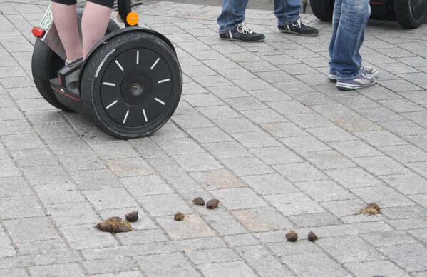 schuhchromosom's tweet photo. Segway umweltfreundlich!? http://t.co/L5Lwyl3omU http://t.co/U33vy6Jwxf