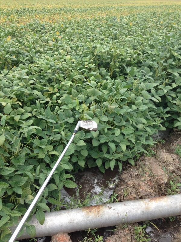 FarmingJones's tweet photo. Last time using this for the year http://t.co/Zab8uZlvYD