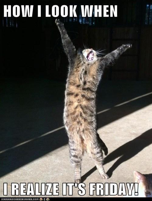 Imageshack It Is Friday Enjoy Your Weekend Everyone Tgif Happyfriday Fridaythe13th Http T Co Usytygrzwk Twitter