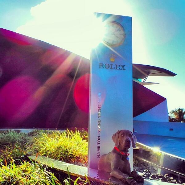 I'm @jestergull... The @hamiltonisland Watch Dog - #rolex #thisisqueensland #richdogsofinstagram