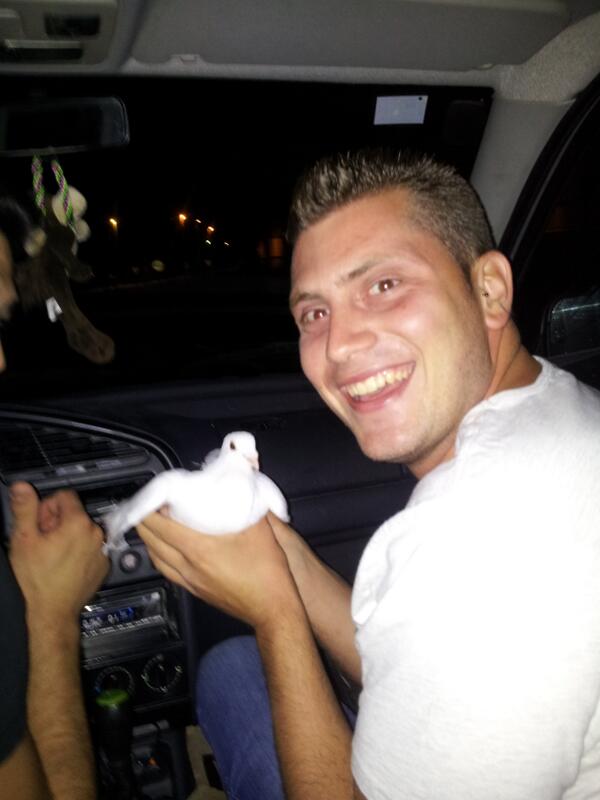 PedromikPm's tweet photo. Mangando palomas ya lo que faltaba @PedroAlcarz http://t.co/VY20EfcJ0S