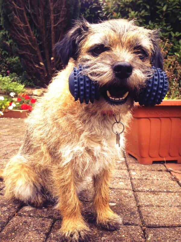 I should be a photographer