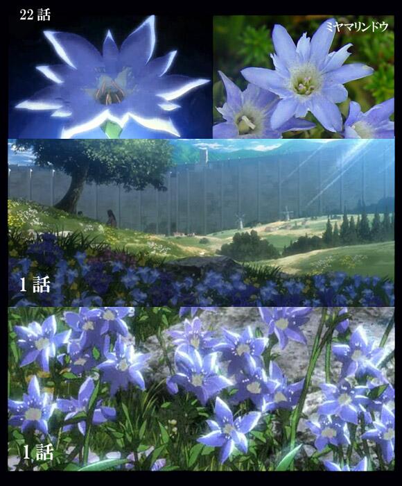 Modu 作中でエレンにまつわる場面で登場する花といえばアニオリで要所要所に咲いてる青い花 特定されていたんですね というかザッと見でこちらのツイートしか有力そうな記事が見つけられなんだ ミヤマリンドウがそっくりだそうです T Co Modu 作中でエレンにまつわる場面で登場する花といえばアニオリで要所要所に咲いてる青い花 特定されていたんですね というかザッと見でこちらのツイートしか有力そうな記事が見つけられなんだ ミヤマリンドウがそっくりだそうです T Co