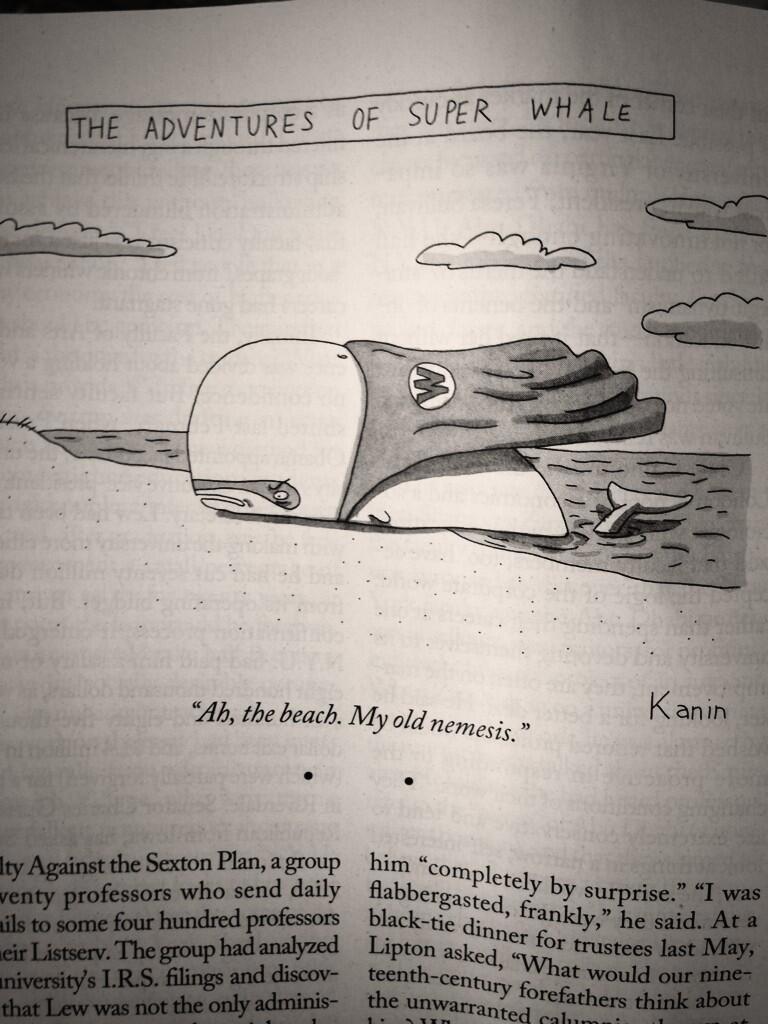 BUI9_YZCMAA98nJ.jpg:large